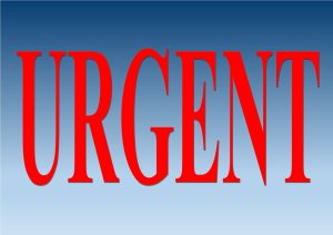 Pentru cadouri de Crăciun