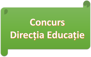 Concurs director