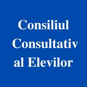 Ședința Consiliul Consultativ al Elevilor din 26.10.2022